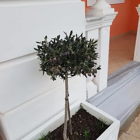 Villa Nicolaos Ksamil