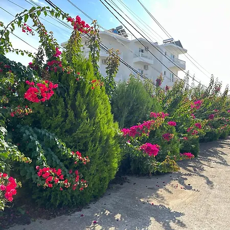 Nicolaos * Ksamil